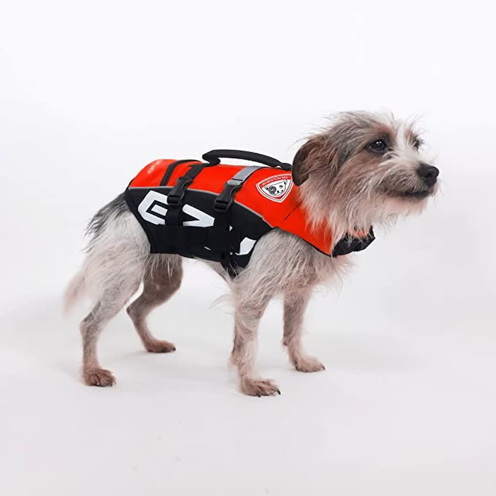 Rover Test Pups Review Outward Hound's Granby Splash Dog Life Jacket