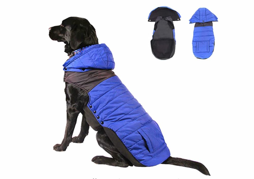 Fragralley Dog Hoodie