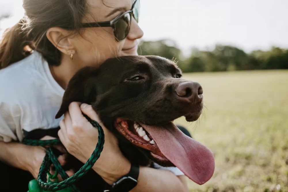 Front of pack photo with owner and happy dog