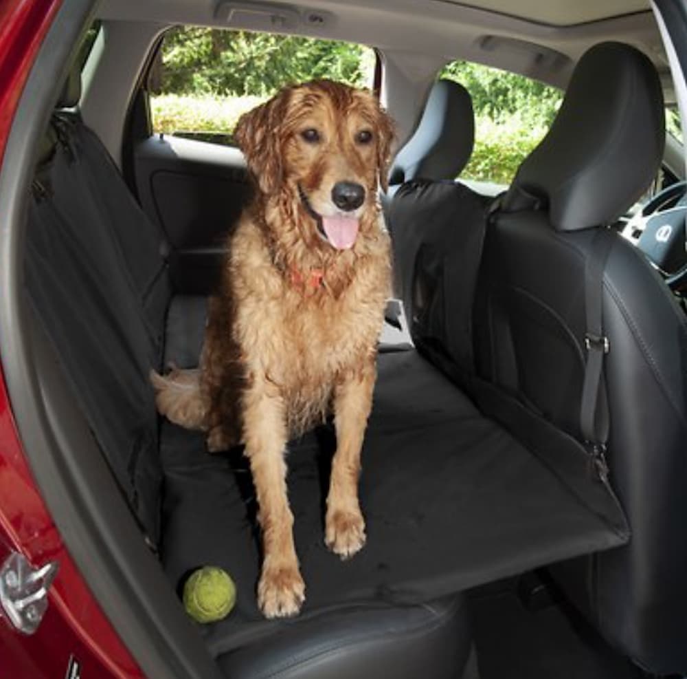 The Best Dog Crates for Car Travel 2024 - Long Haul Trekkers