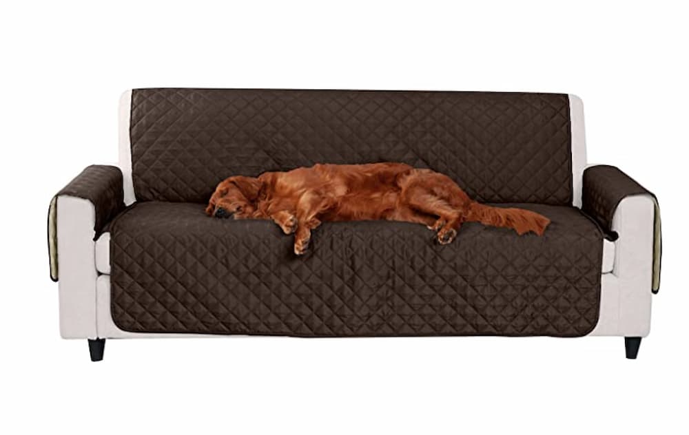 The 10 Best Couch Covers and Furniture Protectors for Dogs