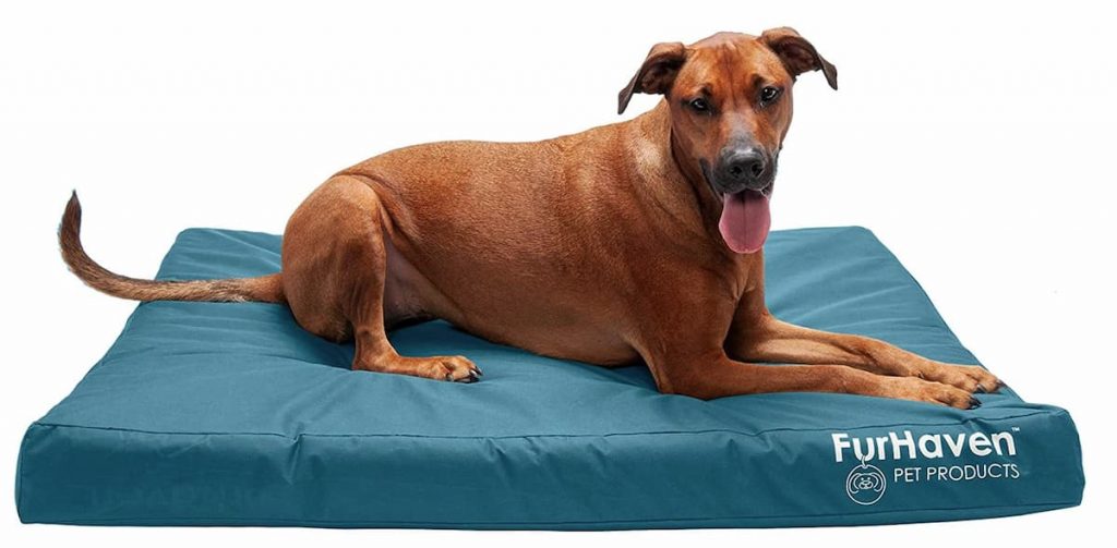 The 9 Best Outdoor Dog Beds for All Weather