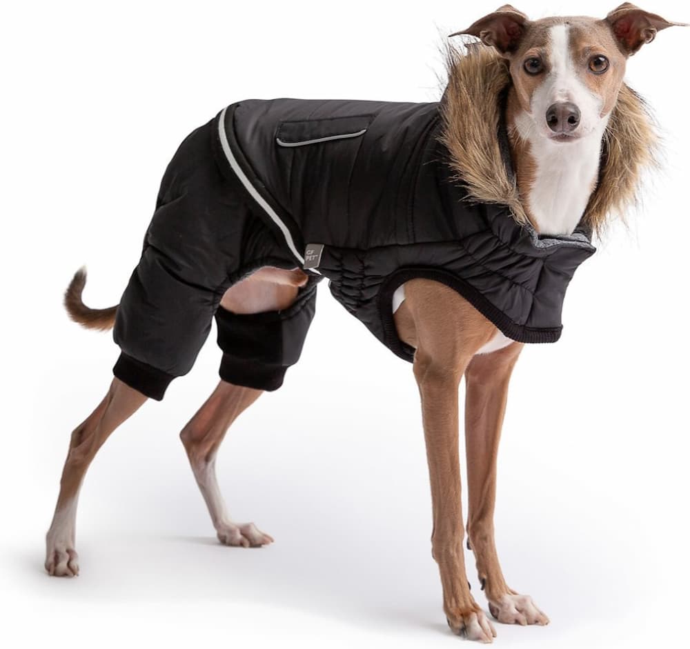 GF Pet Creekside Insulated Dog Snowsuit