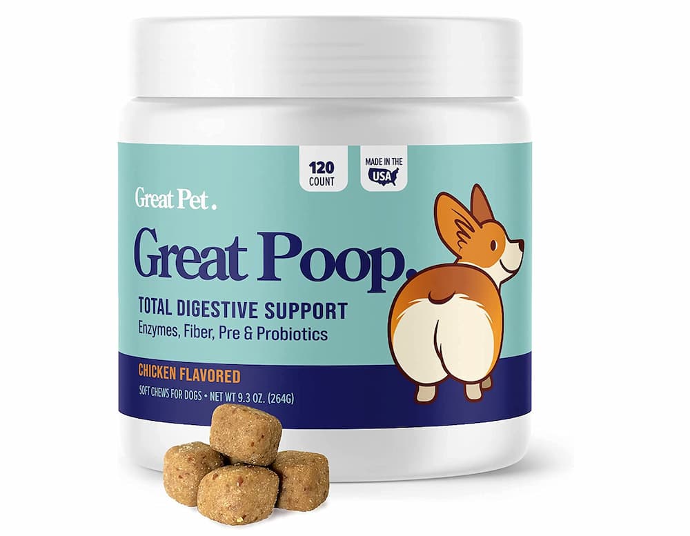 Great Poop Probiotics for Dogs