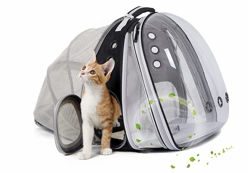 Soft Sided Mesh Cat Carrier – My Cat Backpack