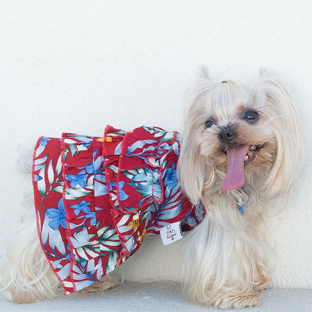 Dog dress fun Hawaiian print