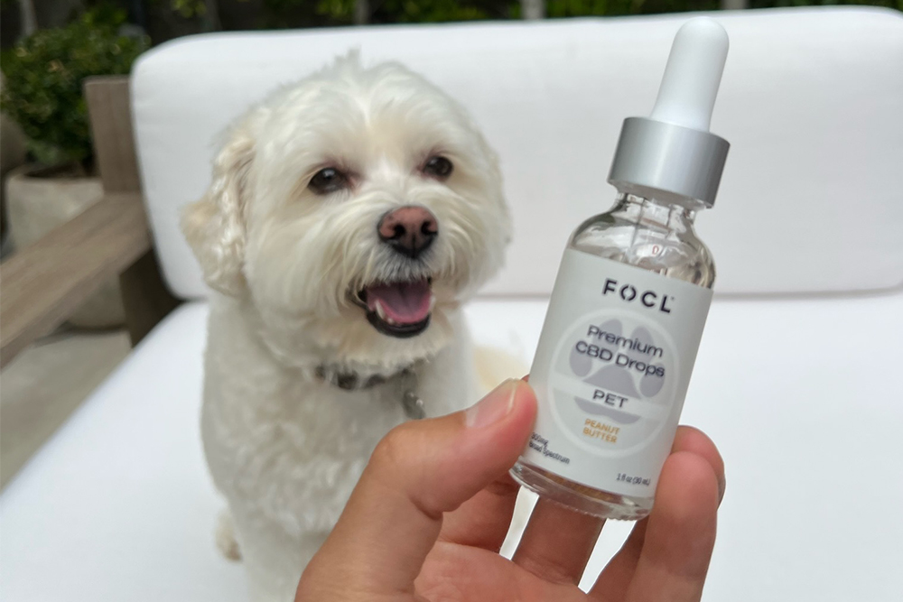 FOCL premium pet drops for dogs