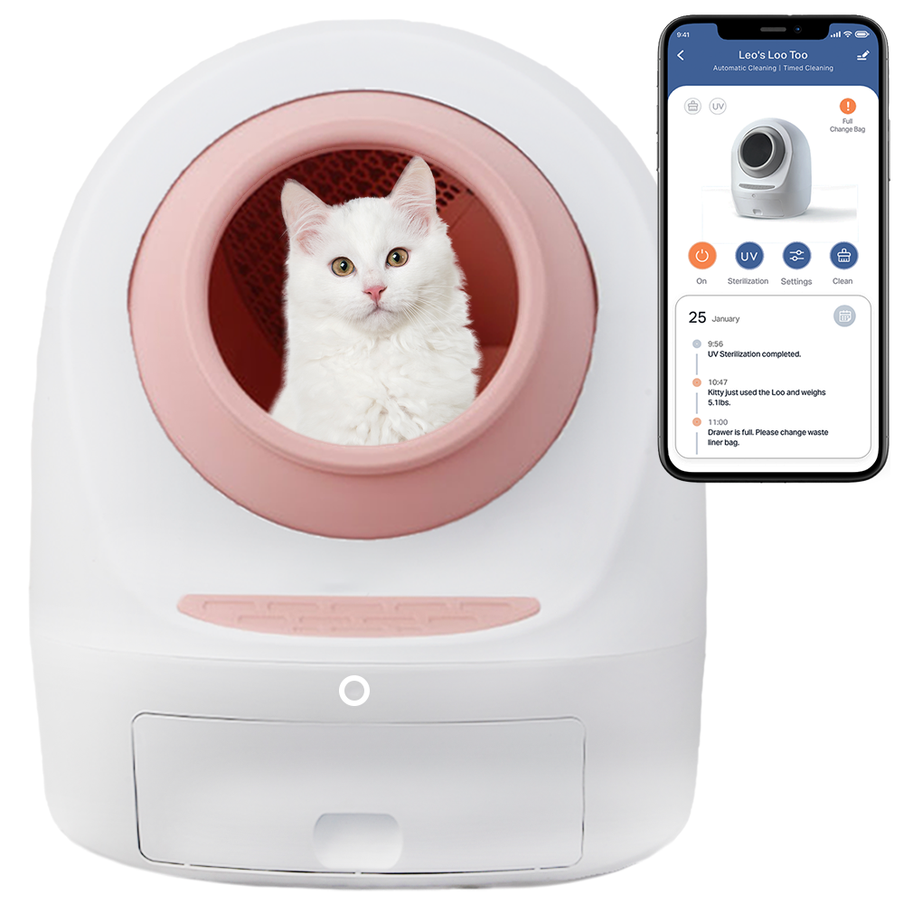 High tech cat litter box with cat looking at camera