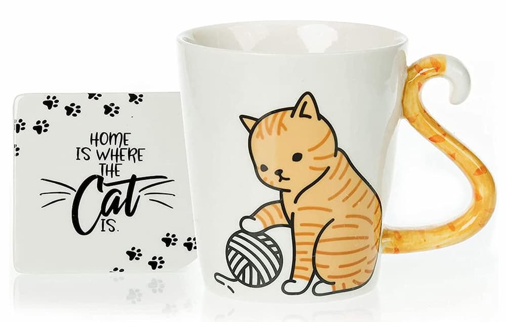 InFLOATables Orange Cat Mug & Coaster Set
