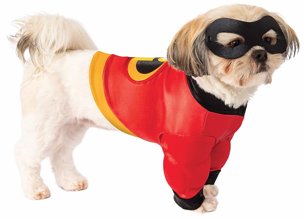 Incredibles 2 Pet Costume