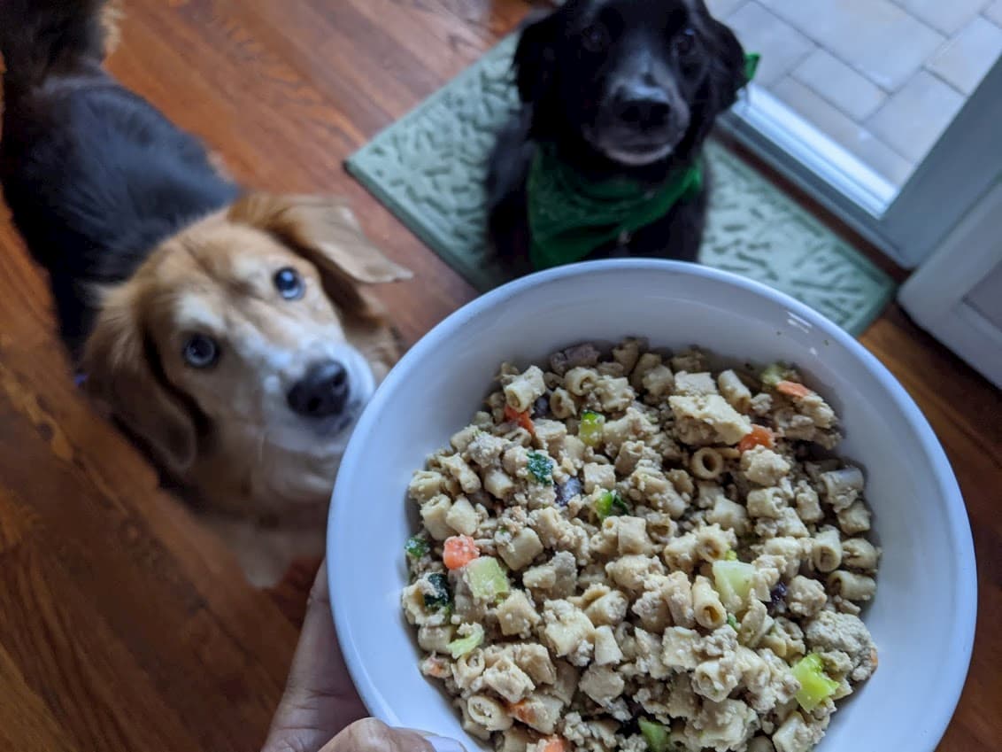 JustFoodForDogs Review: Fresh Dog Food Delivery