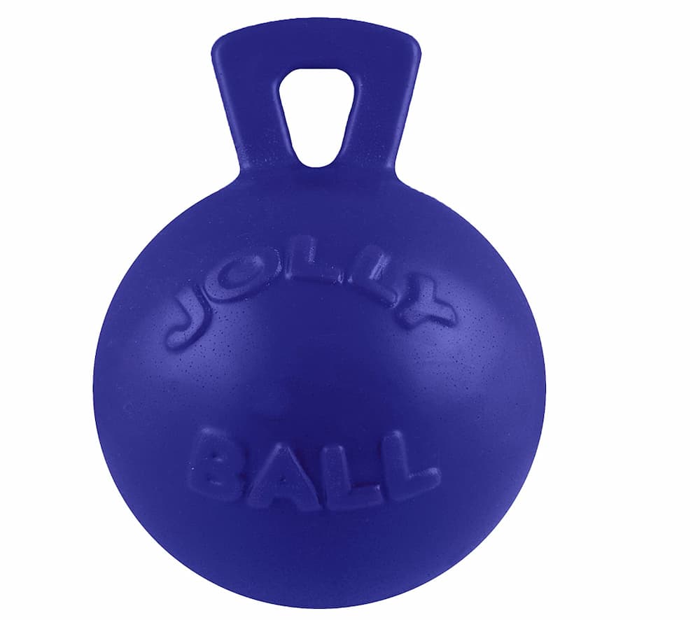 Jolly Pets Tug-N-Toss Dog Toy Ball with Handle