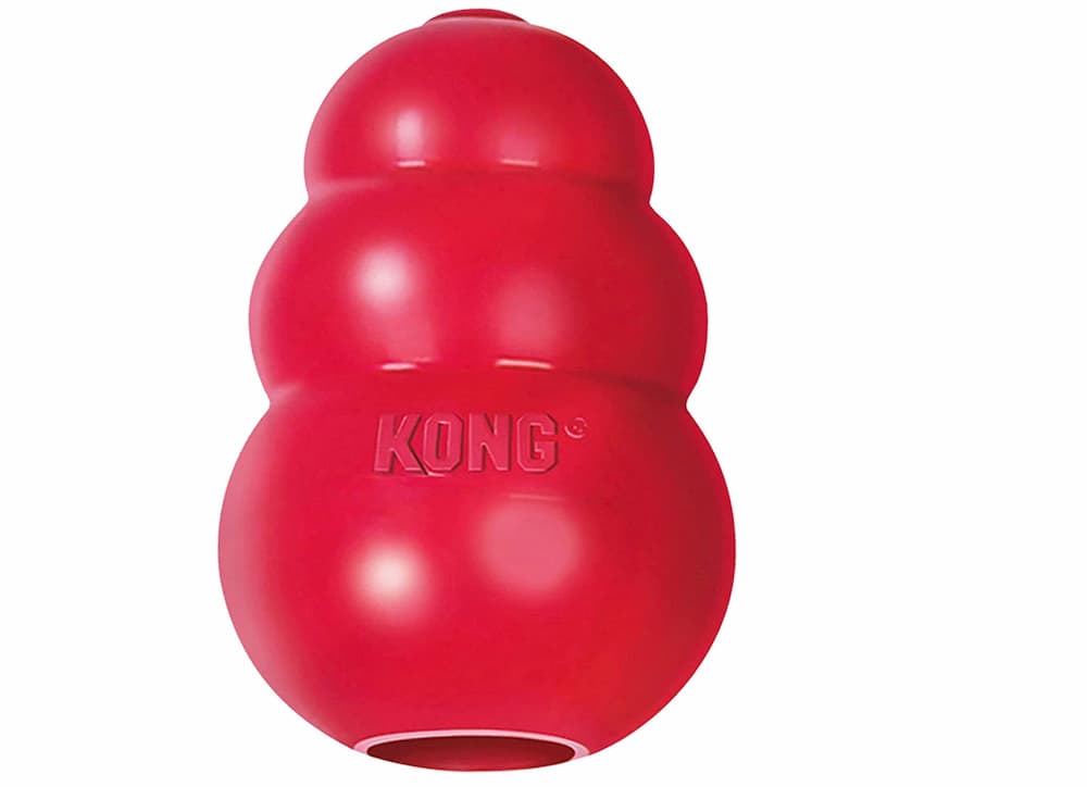 https://www.vetstreet.com/wp-content/uploads/2023/05/KONG-Classic-Dog-Toy-1.jpg