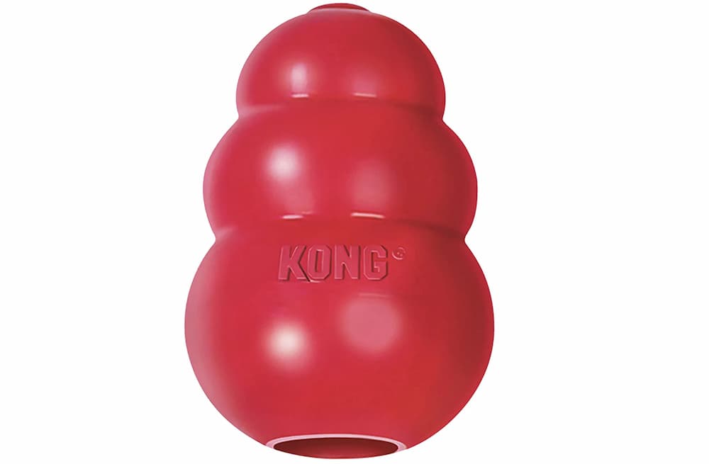 The Best Enrichment Toys for Bored Dogs – The Honest Kitchen