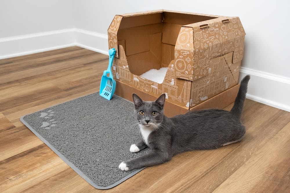 Wholesale Made in USA, Eco-friendly Cat Litter Box Mat for your