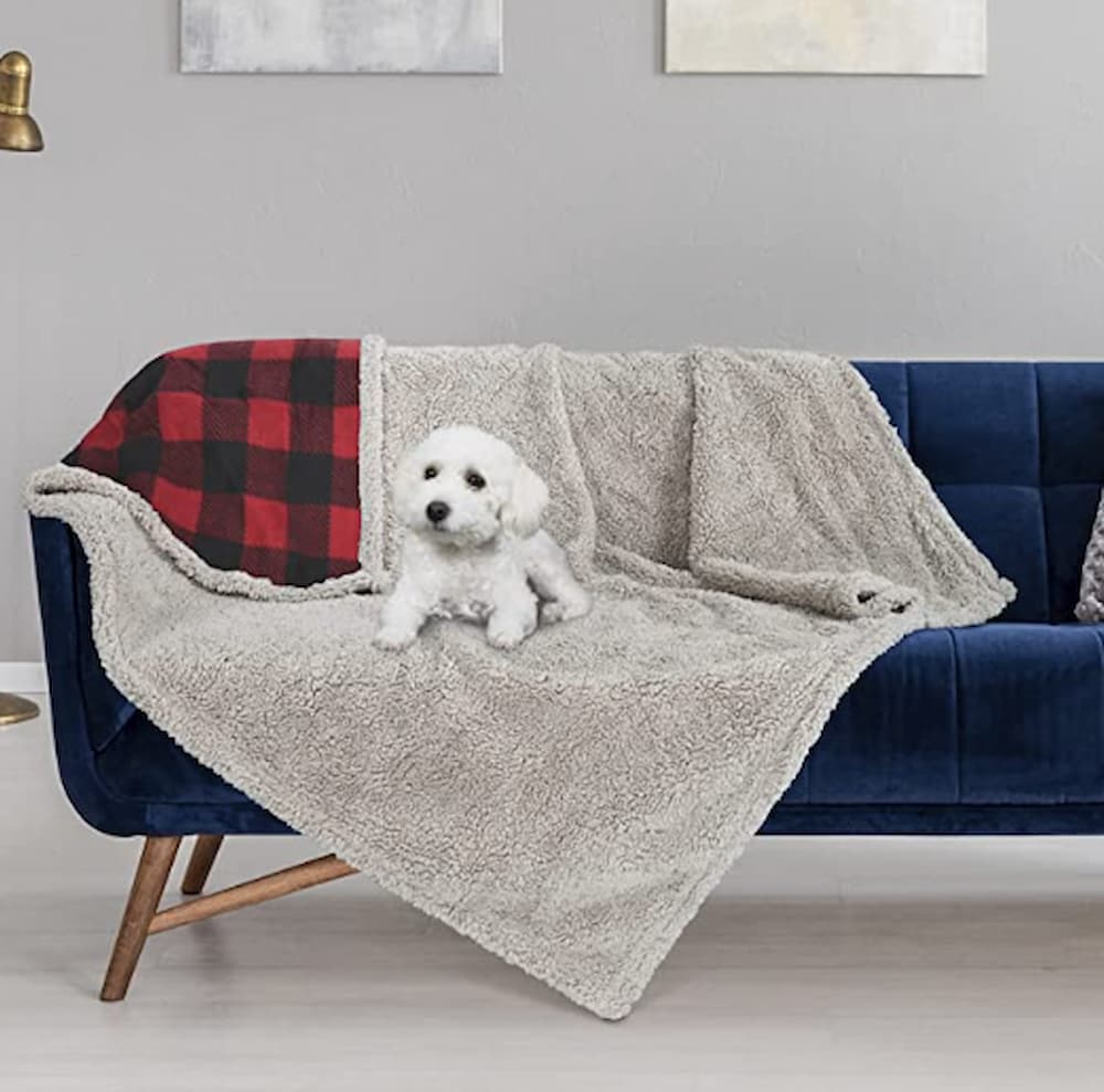 The 10 Best Couch Covers and Furniture Protectors for Dogs