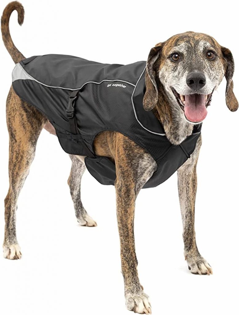 Kurgo North Country Dog Coat