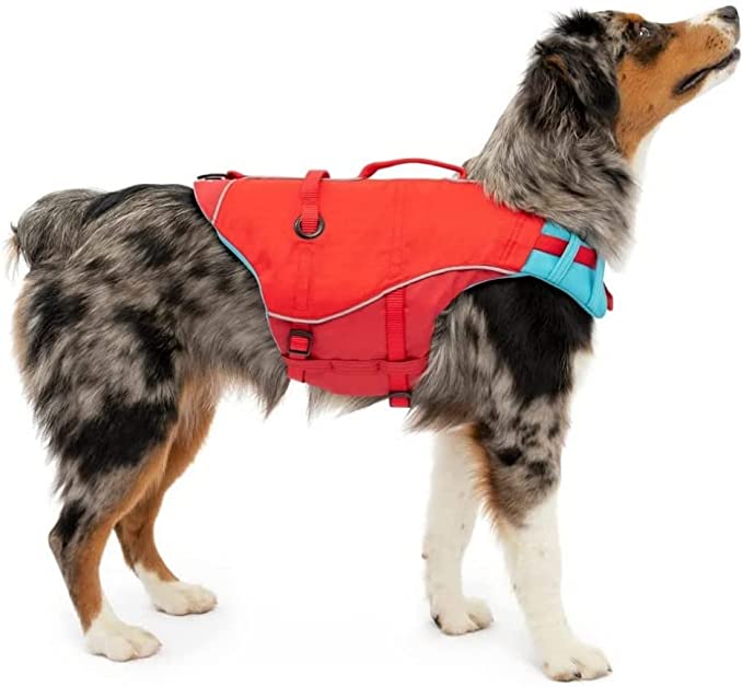 Rover Test Pups Review Outward Hound's Granby Splash Dog Life Jacket