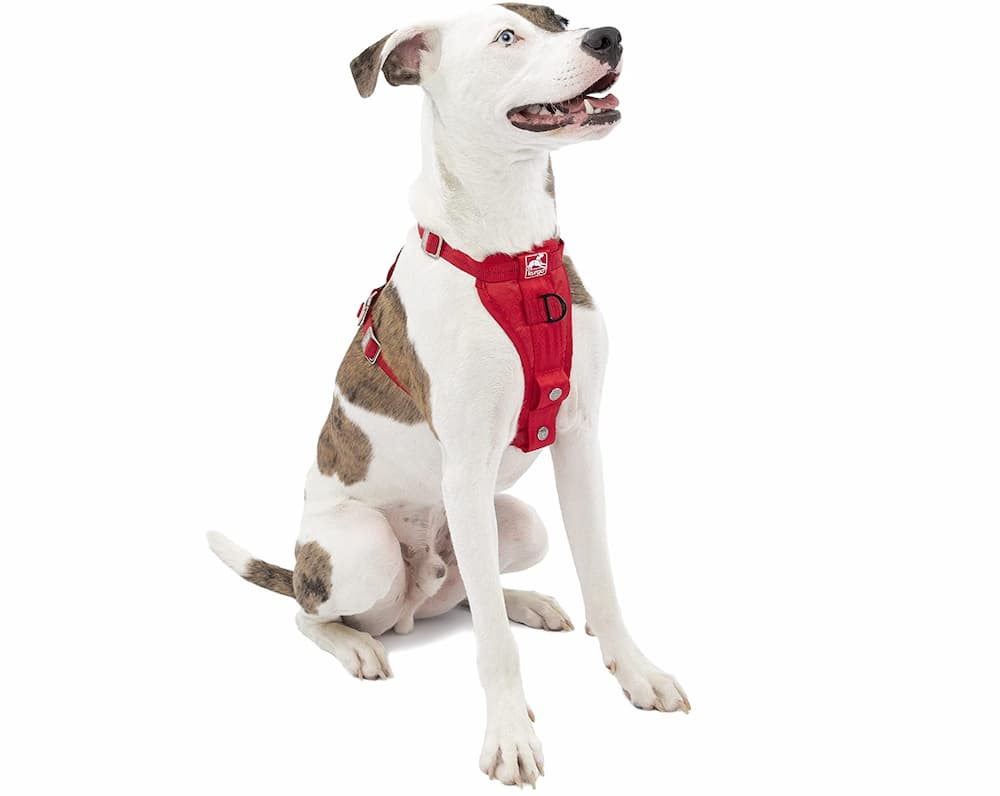 Kurgo Tru-Fit Enhanced Strength Dog Harness