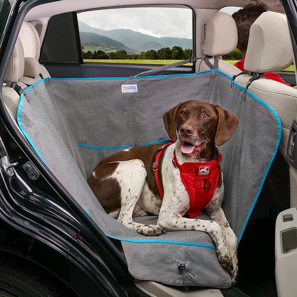 https://www.vetstreet.com/wp-content/uploads/2023/05/Kurgo-Wander-Dog-Hammock-Style-Seat-Cover-1.jpg