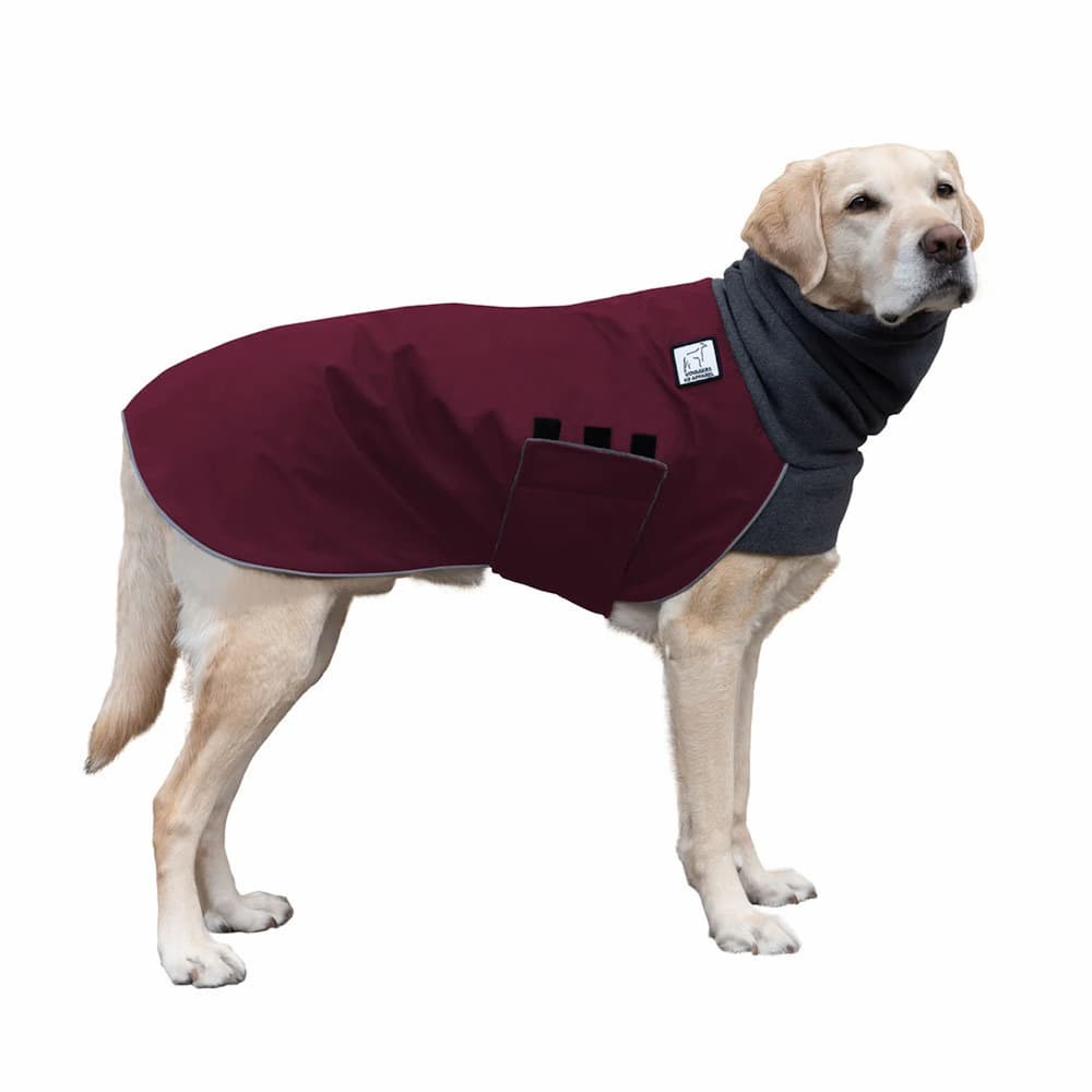 LABRADOR RETRIEVER Winter Dog Coat