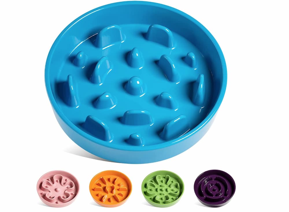 Best Slow-Feeder Bowls For Dogs Who Eat Fast