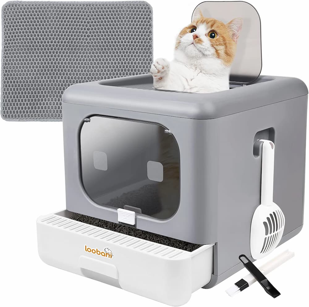 Petsafe Scoopfree Complete Plus Self-cleaning Cat Litter Box with  Disposable Crystal Litter Tray : Target