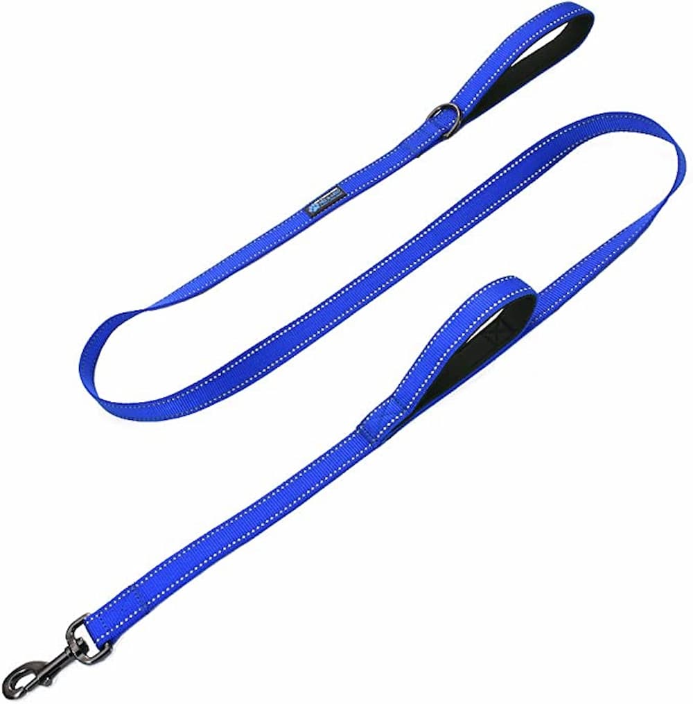 Max and Neo Double Handle Traffic Dog Leash Reflective