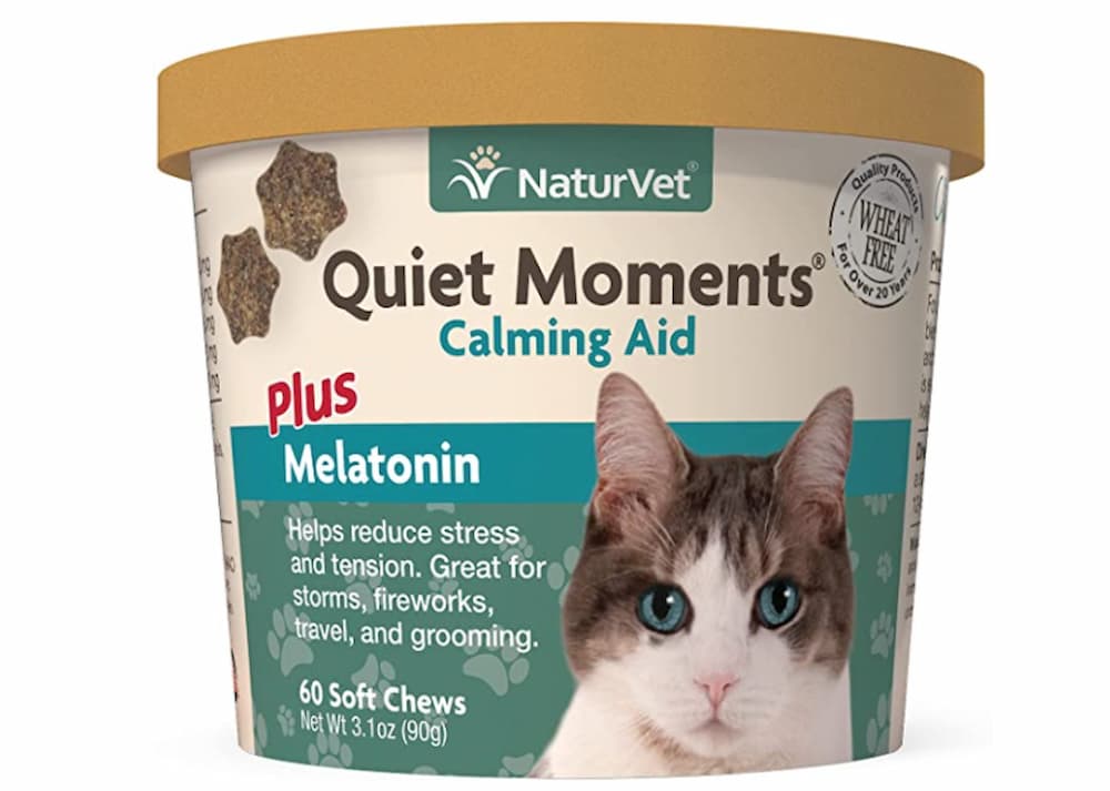 Cause Behind an Aggressive Cat - NaturVet®