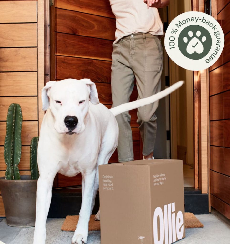 Ollie dog food