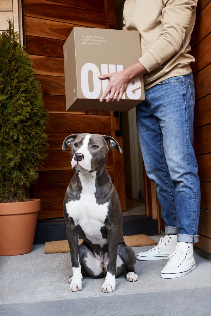 Dog and pet parent on doorstep bringing in Ollie dog food delivery