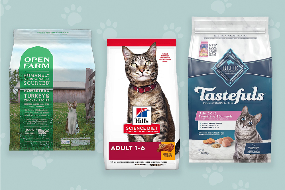 The Best Dry Cat Foods of 2024, Reviewed With Advice From Vets