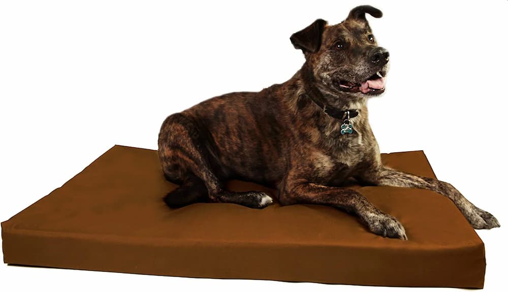 Orthopedic 4" Dog Crate Pad by Big Barker