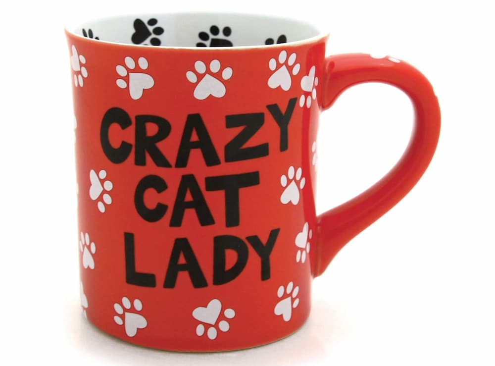 Our Name is Mud “Decorate With Cats” Stoneware Mug