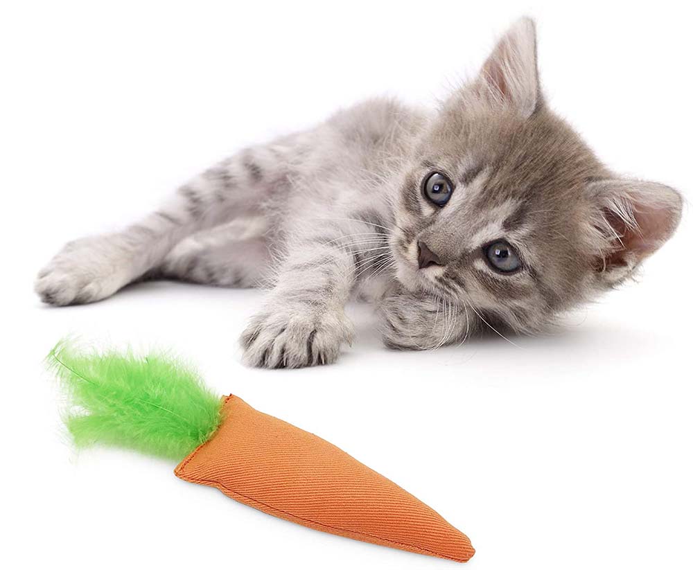 cat chew toy with catnip