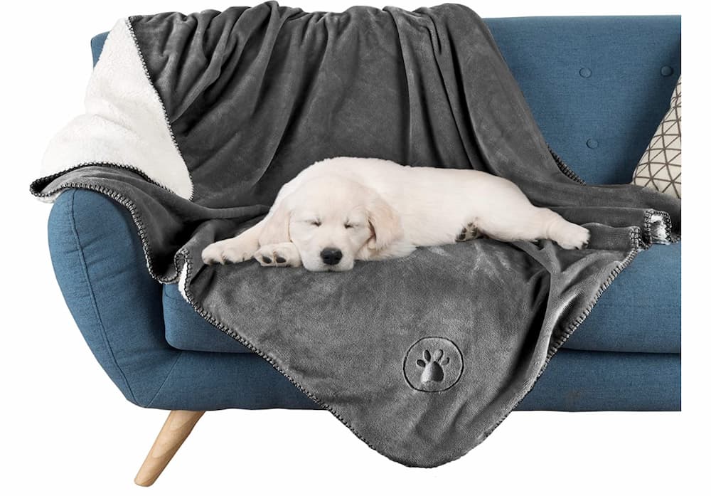 https://www.vetstreet.com/wp-content/uploads/2023/05/PETMAKER-Waterproof-Pet-Blanket.jpg