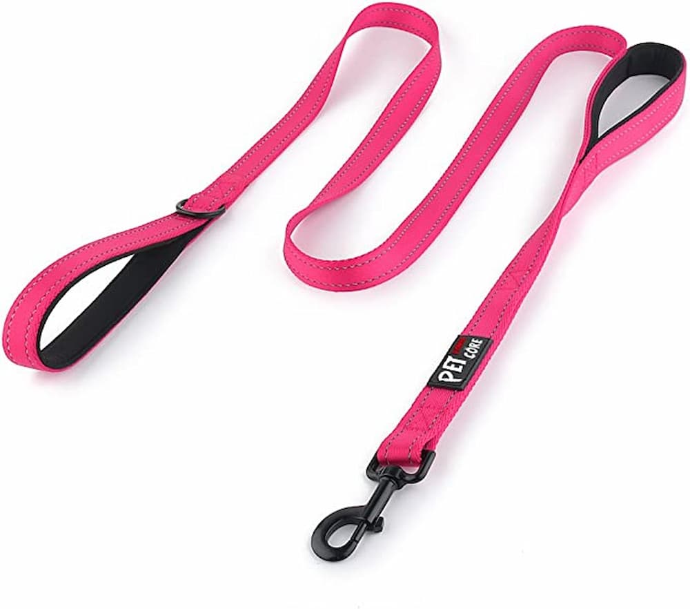 Pioneer Petcore Dog Leash in pink