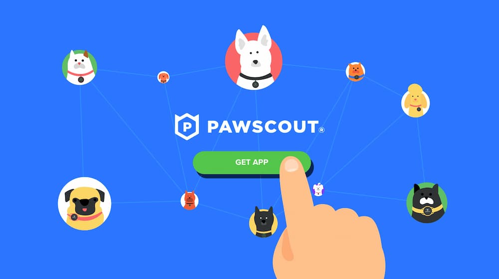 Smart pet tag Pawscout illustration of the app with pets wearing collars