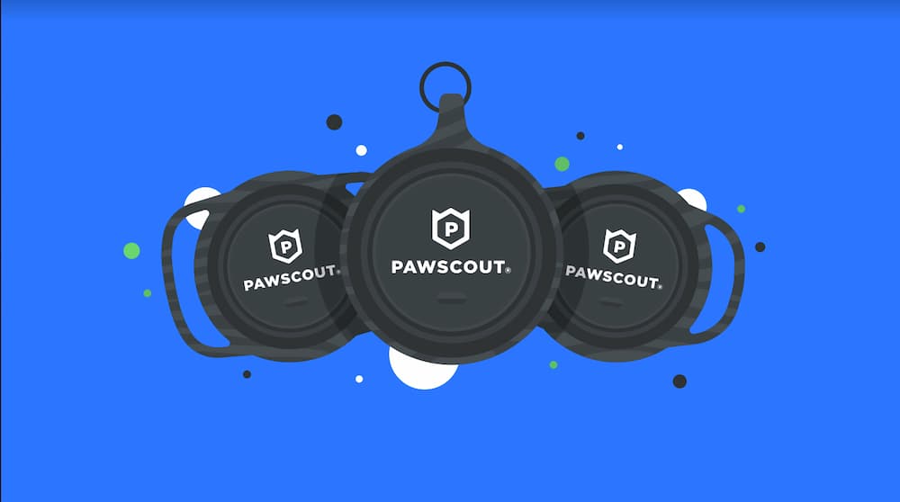 Image of smart pet tags from Pawscout