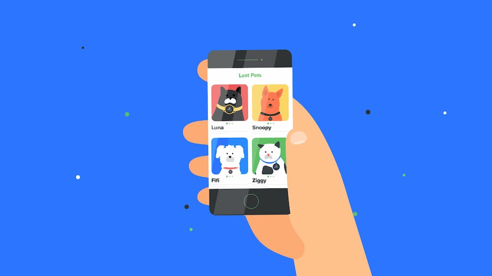 Illustration of phone with app open to lost pets page