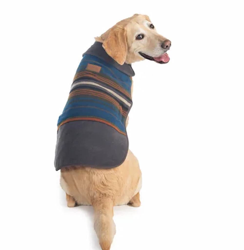 Best Dog Jackets and Coats 2023