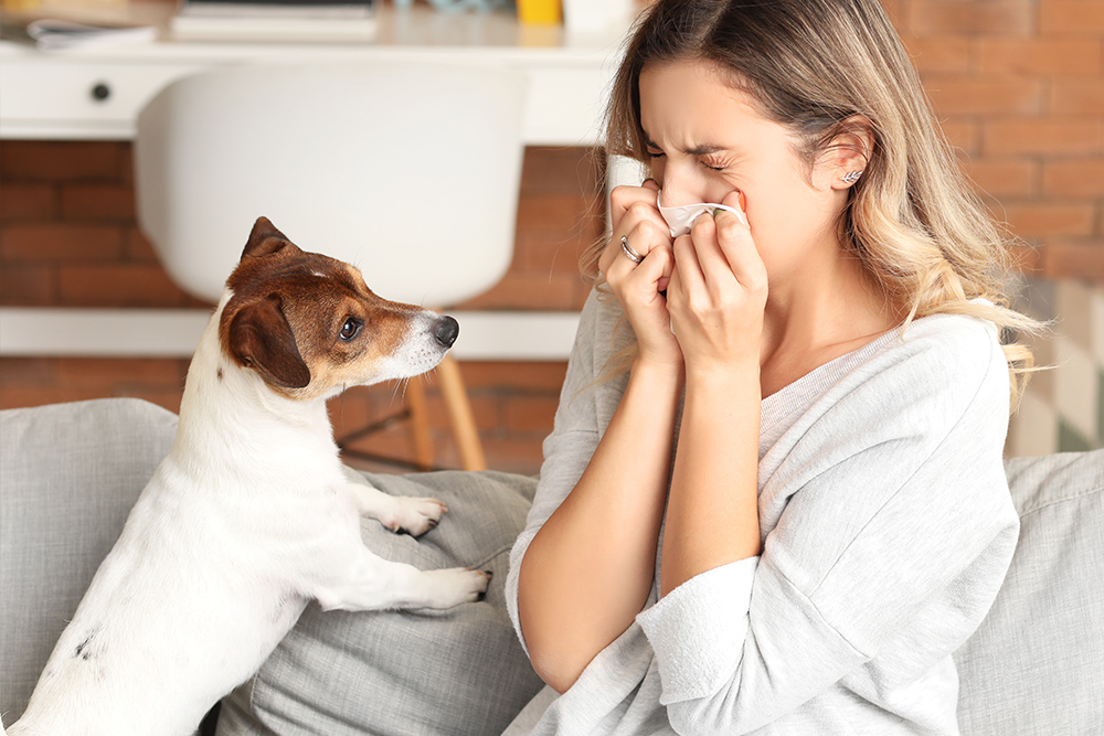 Pawtins™ - Pet Air Purifier