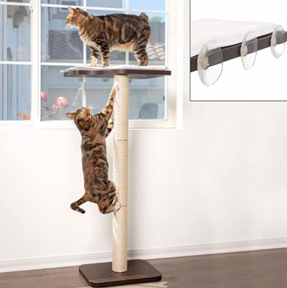PetFusion Ultimate Cat Window Climbing Perch