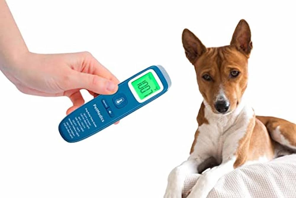 PetMedics Non-Contact Digital Pet Thermometer for Dogs