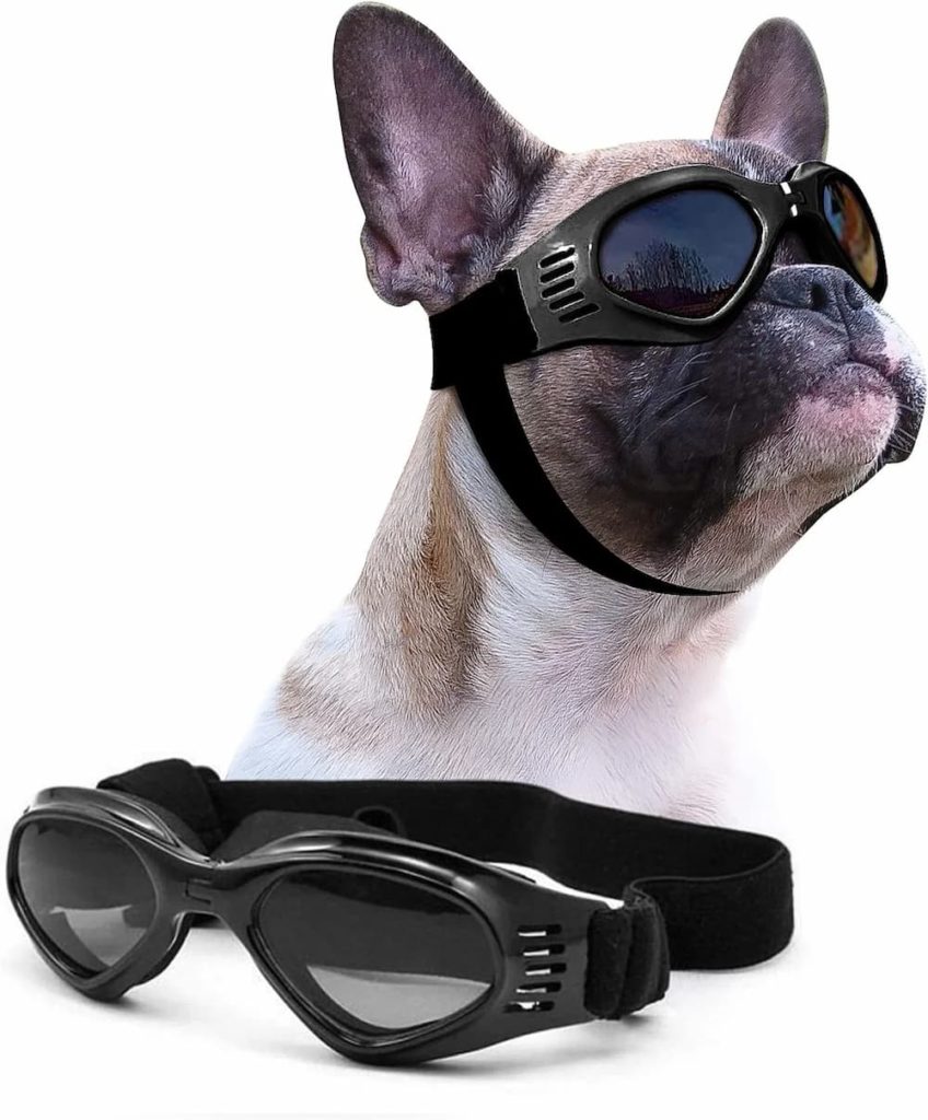 Petleso Pet Goggles