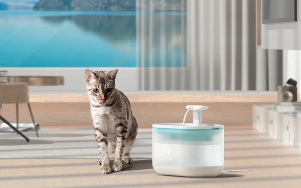 Petlibro Cat Water Fountain Review: Going with the Flow