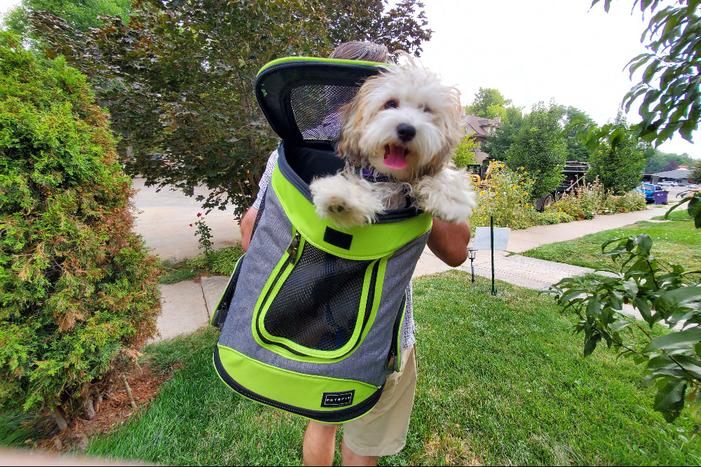 Backpack Dog Carrier - Black with Gold Studs – princeandprincessusa