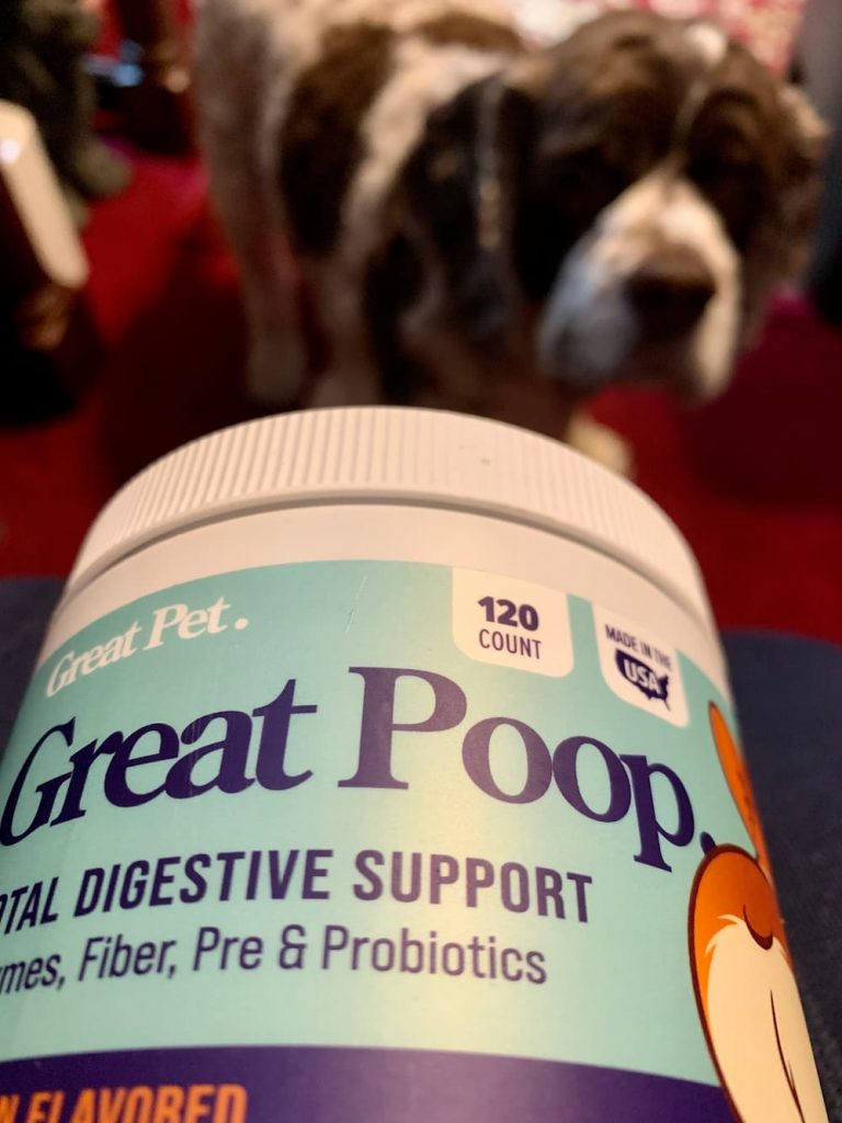 Probiotic Chews for Dogs Great Poop Product Review Vetstreet Vetstreet