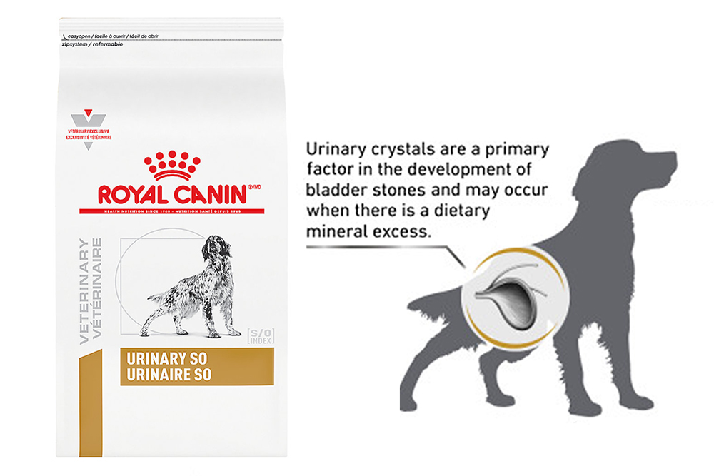 Royal Canin dog food reviews urinary SO