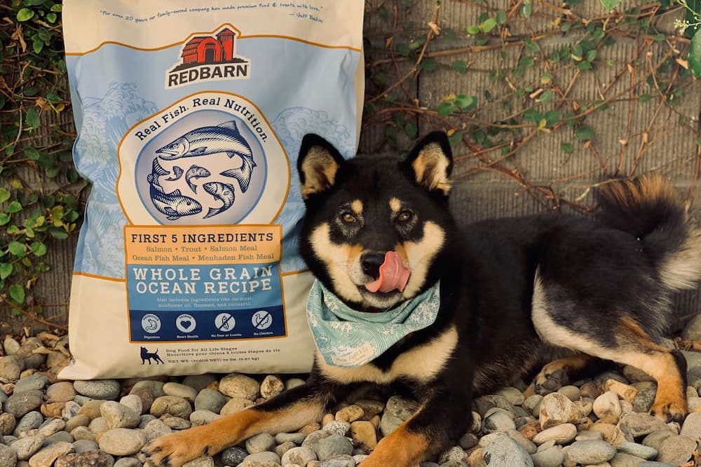 Redbarn Dog Food Review: Get the Scoop on This Well-Balanced Brand